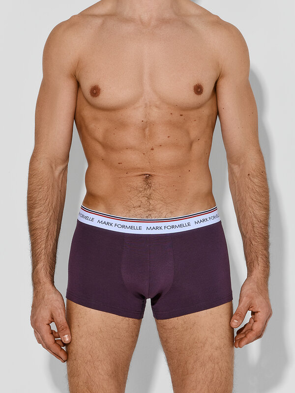 MARK FORMELLE Трусы 591551 411124-4 ежевичный