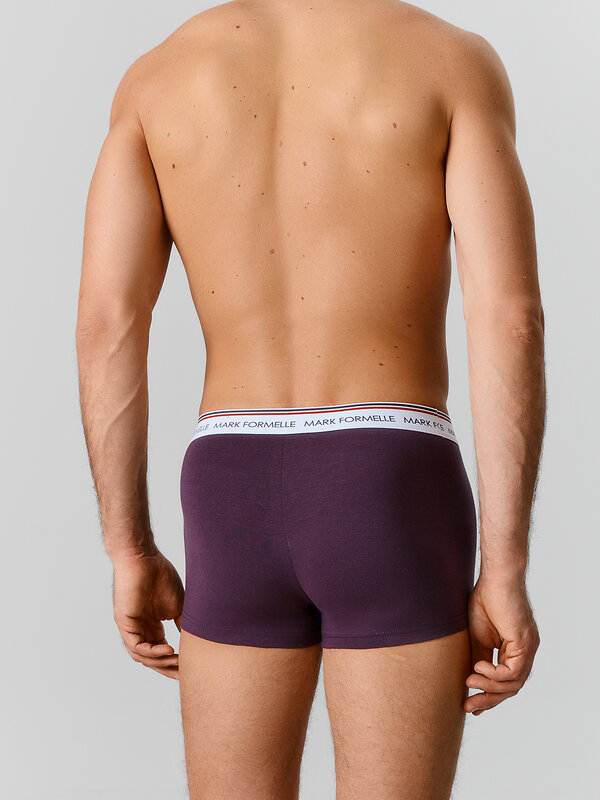 MARK FORMELLE Трусы 591551 411124-4 ежевичный