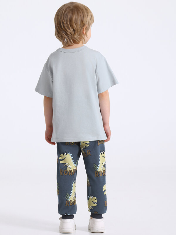 Апрель Комплект 591856 2ПФБ5759001н светло-серый+крупные динозавры на темно-сером+темно-синий77 / Маленький динозавр