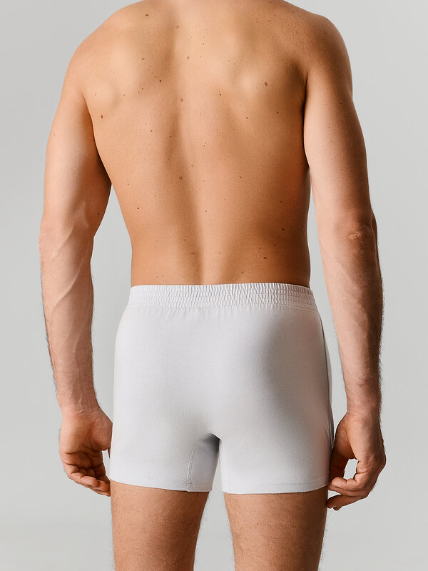 MARK FORMELLE Трусы 592279 411152 лунный луч