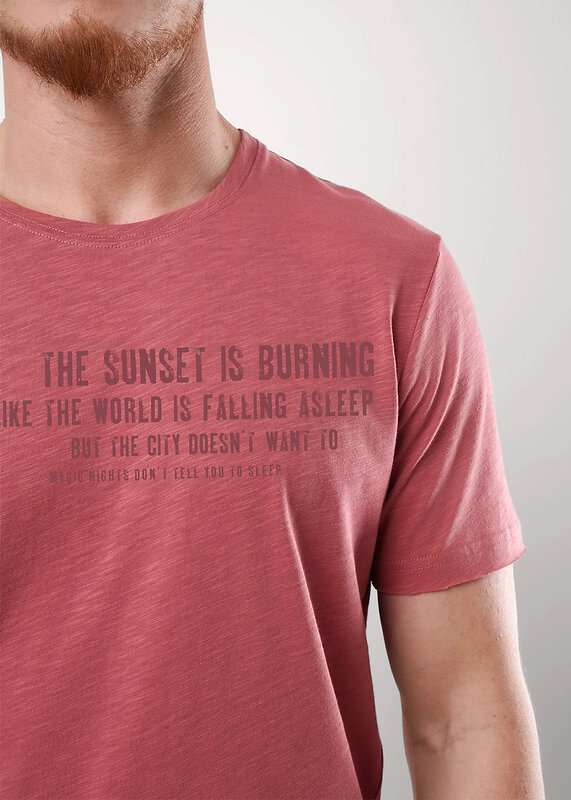 CLEVER Футболка 592513 552520/22о maxi(макси)_п терракотовый