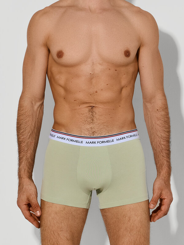 MARK FORMELLE Трусы 592622 411228-2 канарский зеленый +графит