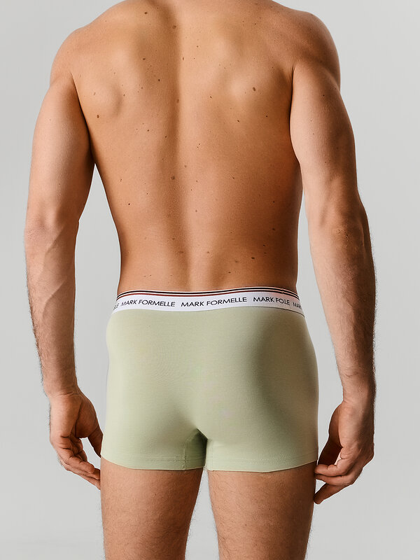 MARK FORMELLE Трусы 592622 411228-2 канарский зеленый +графит