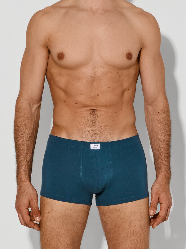 MARK FORMELLE Трусы 592624 411229-2 морская волна +полынь