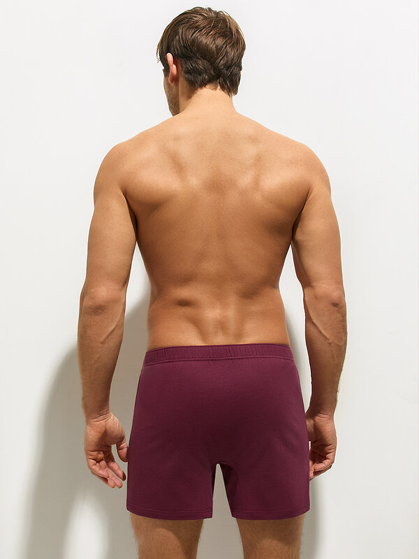 Omsa Трусы 592769 OmB 1243-1 Шорты-Боксеры муж. с закр.резинкой, CO Blu (Синий)