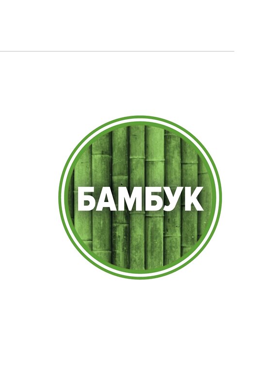 CLEVER Трусы 594466 MH561413 св.зелёный/т.зелёный