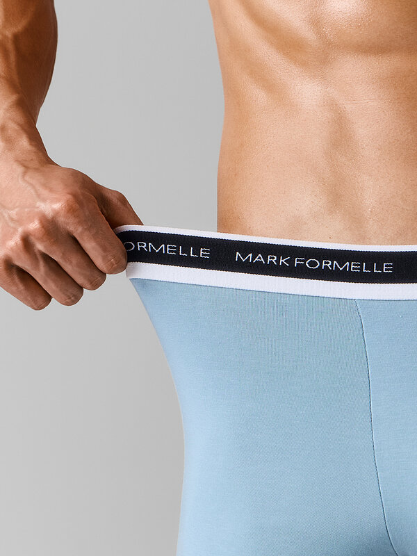 MARK FORMELLE Трусы 598463 411228 полынь