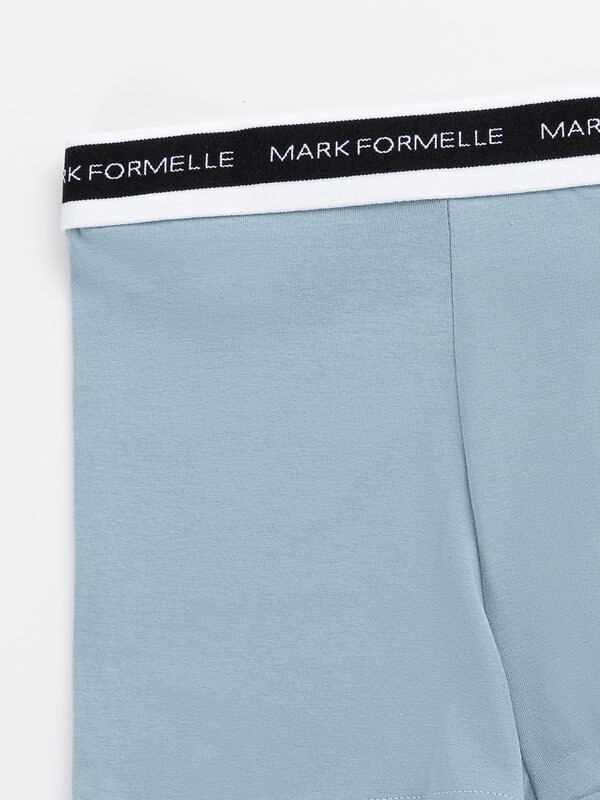 MARK FORMELLE Трусы 598463 411228 полынь