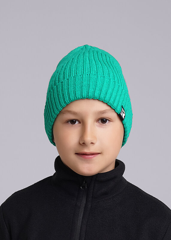 CLEVER Шапка 599053 433839вн зелёный