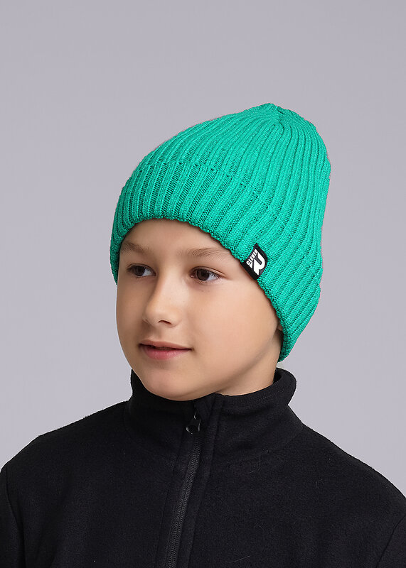 CLEVER Шапка 599053 433839вн зелёный