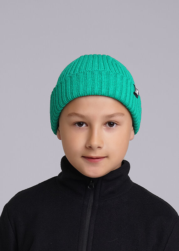 CLEVER Шапка 599053 433839вн зелёный