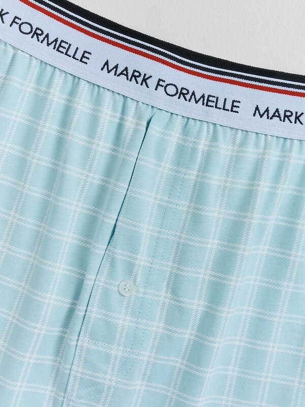 MARK FORMELLE Трусы 604930 411222 клетка на голубой дымке