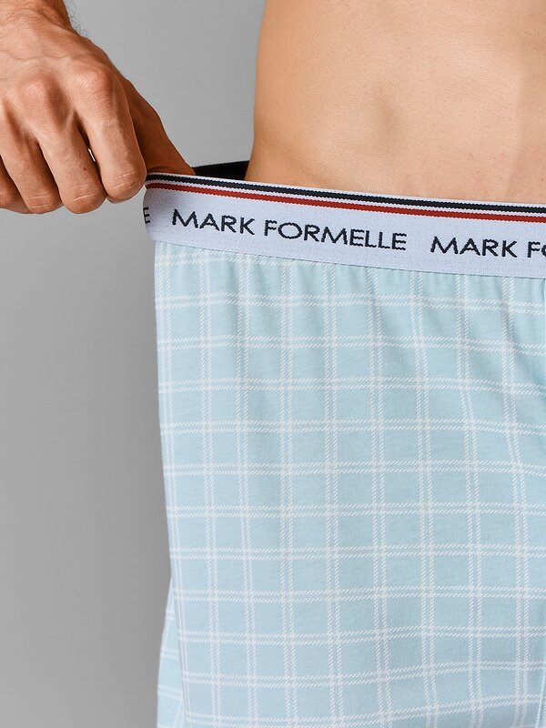 MARK FORMELLE Трусы 604930 411222 клетка на голубой дымке