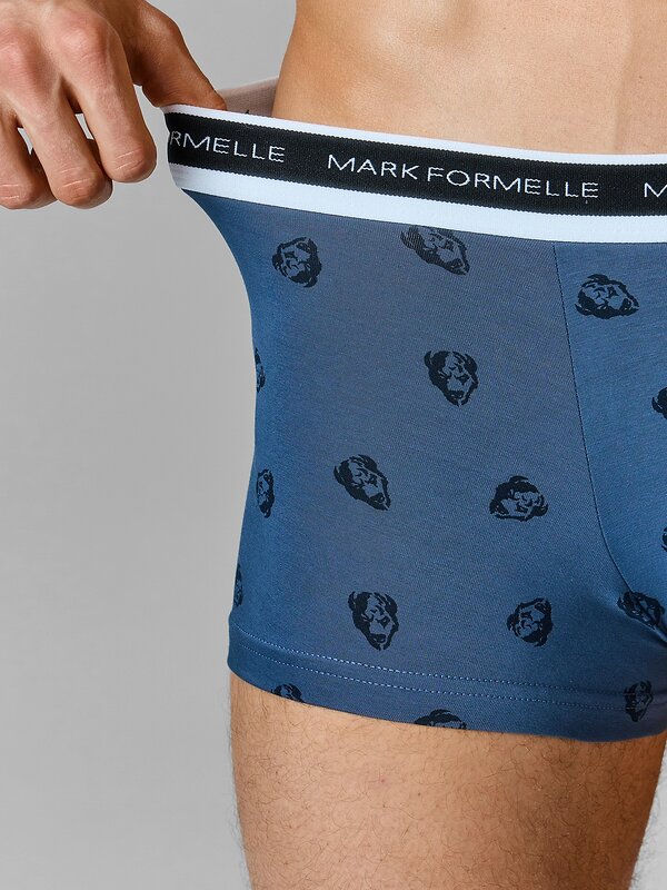 MARK FORMELLE Трусы 606523 411215 зубры на шторме