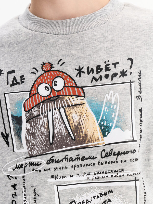 PELICAN Толстовка 606720 BFN3398 Серый