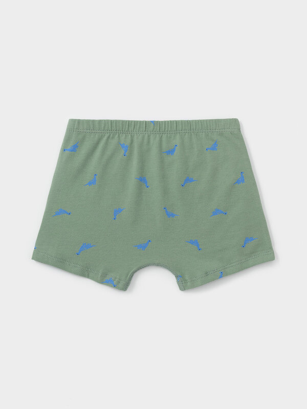 CROCKID Трусы 610355 К 1912-2уп оливковый Н049_2, синий 4037