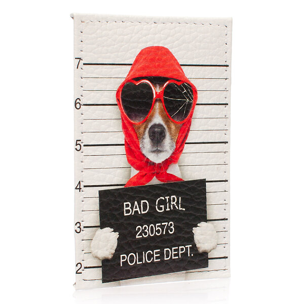 Eshemoda Обложка для карточки 11038 Bad Girl 