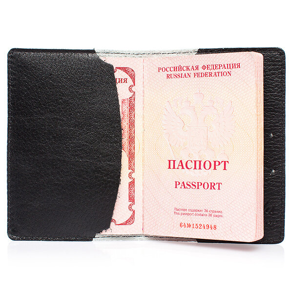 Eshemoda Обложка на паспорт 20682 "Крылья ночи" 